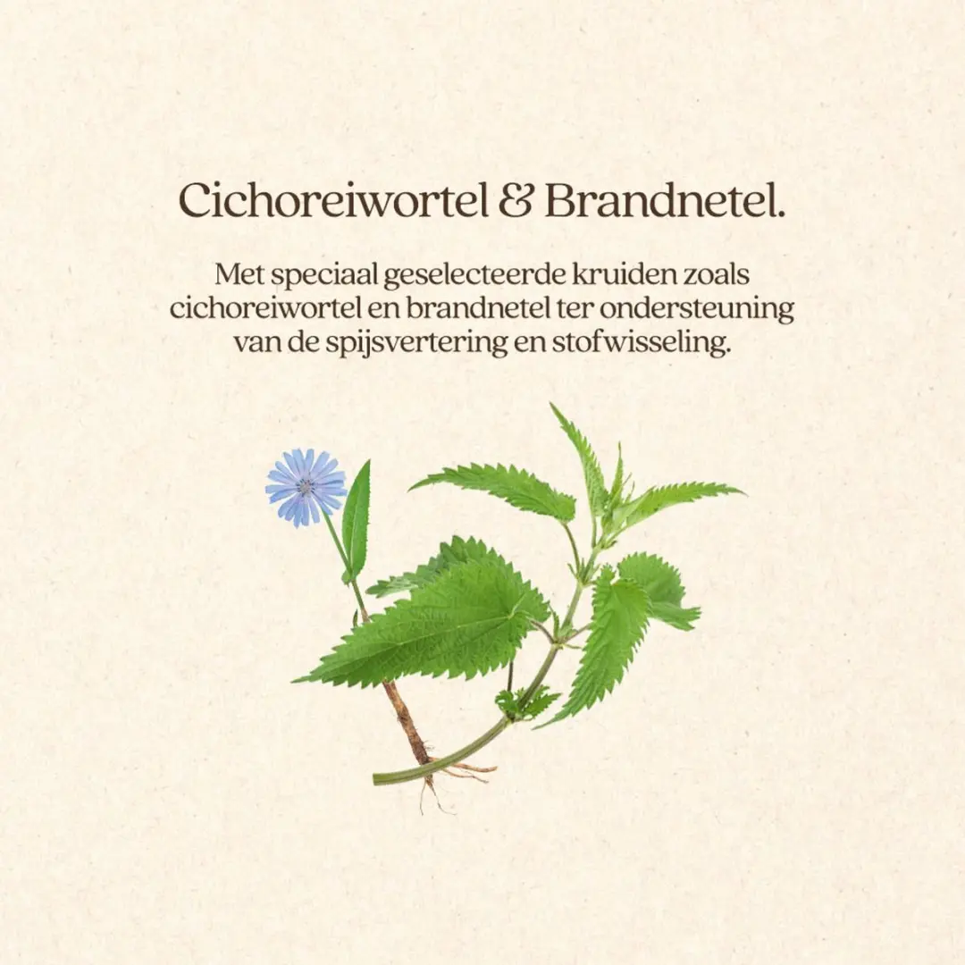 VITALstyle Weight Control Hondenbrokken 12kg - afbeelding 2 van 6