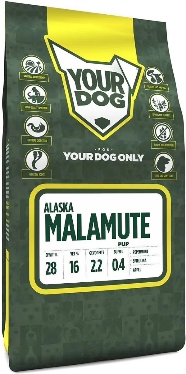 Yourdog alaska malamute pup