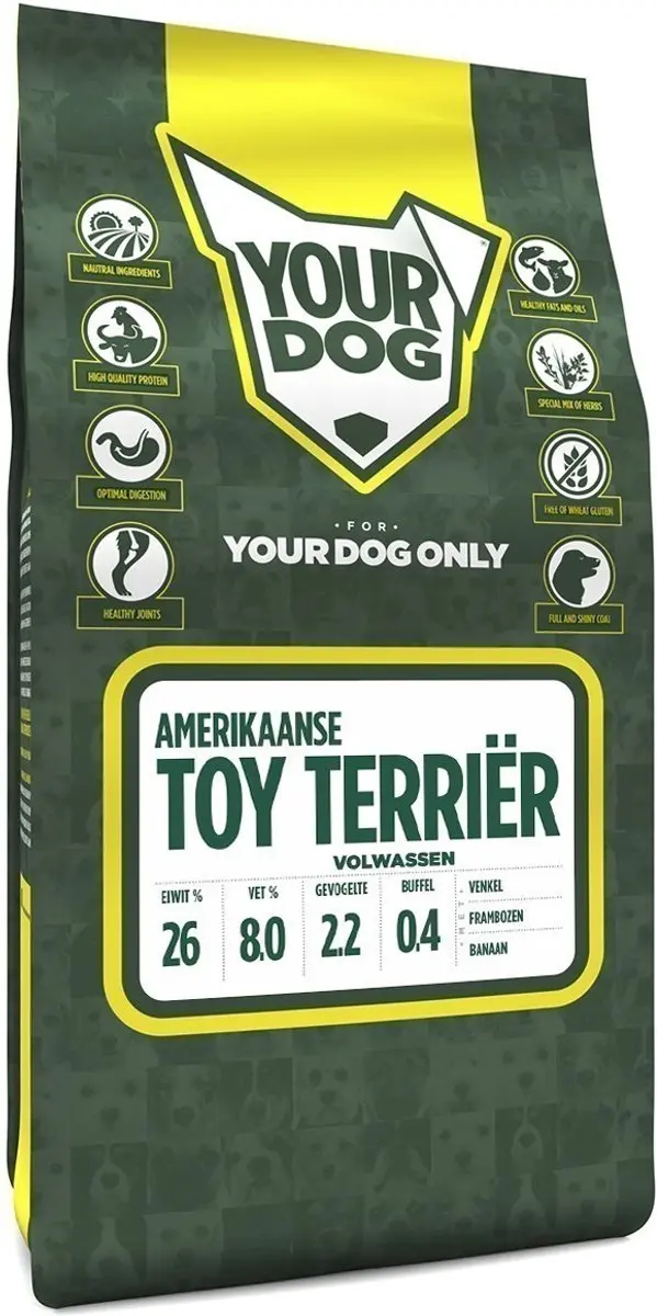 Yourdog amerikaanse toy terriër volwassen