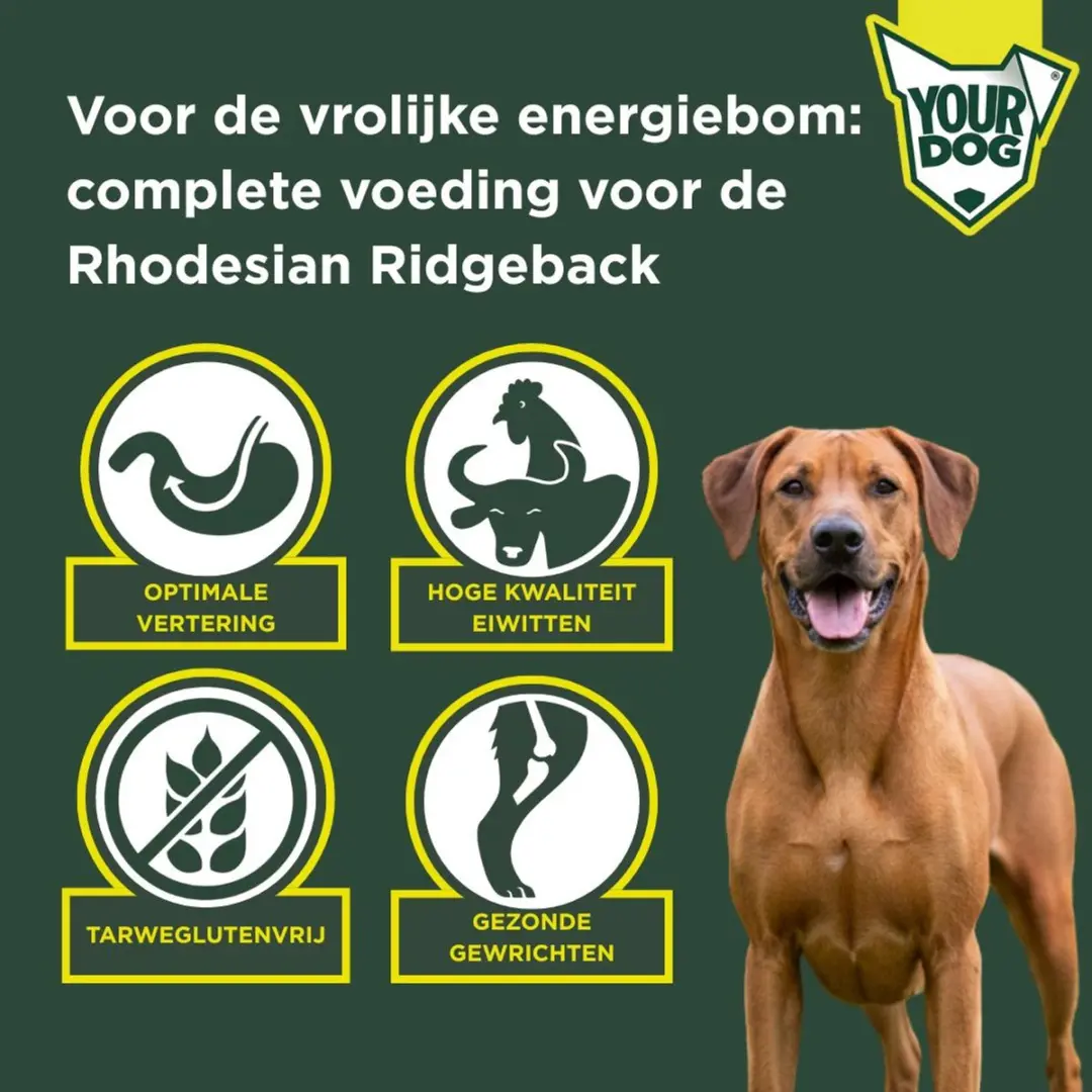 Yourdog Rhodesian Ridgeback Pup Hondenbrokken 12kg - afbeelding 3 van 4