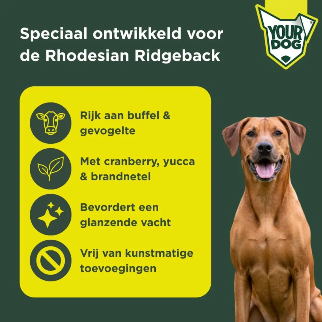 Yourdog Rhodesian Ridgeback Pup Hondenbrokken 12kg - afbeelding 2 van 4