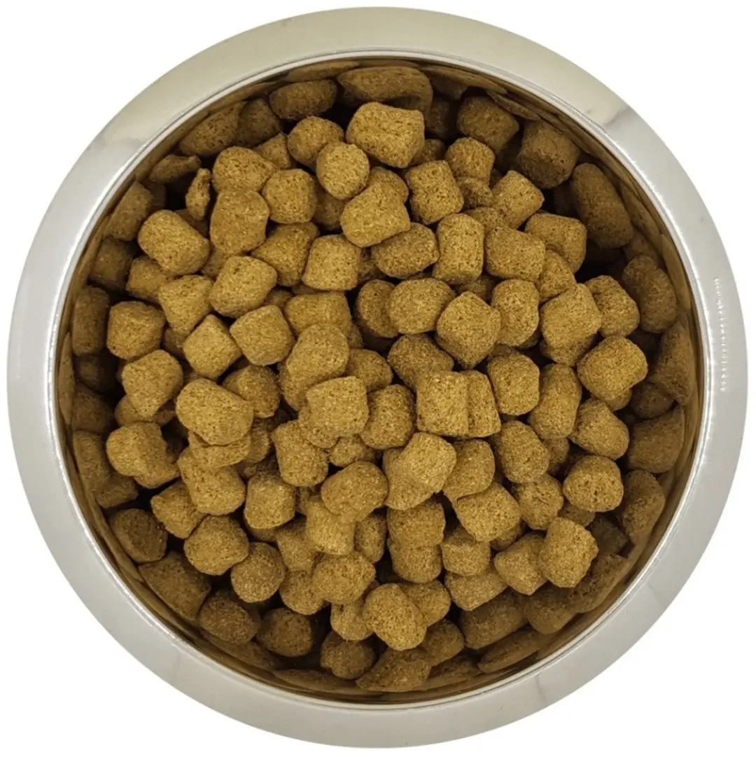 Yourdog Chien français blanc et orange Hondenbrokken Senior 12 kg
