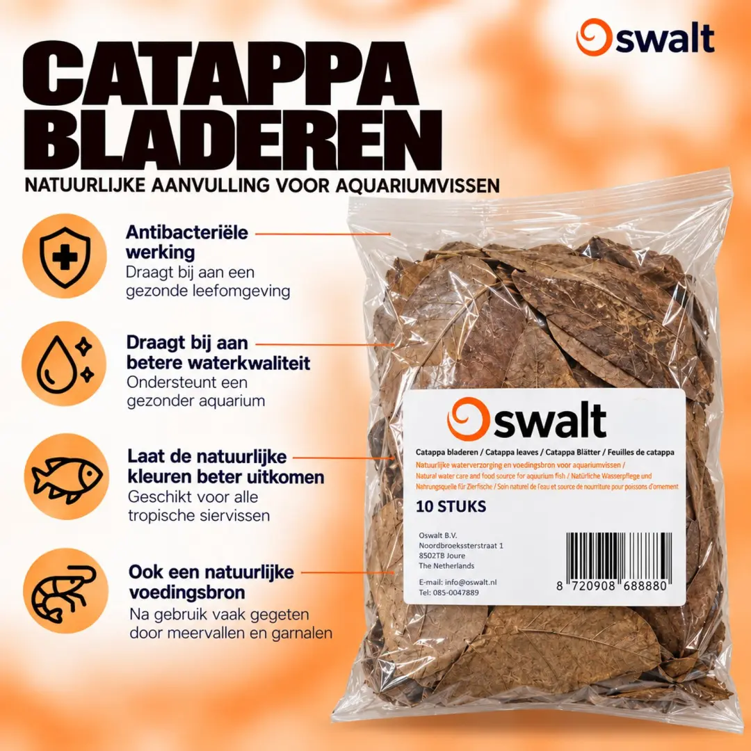 Oswalt Catappa Bladeren
