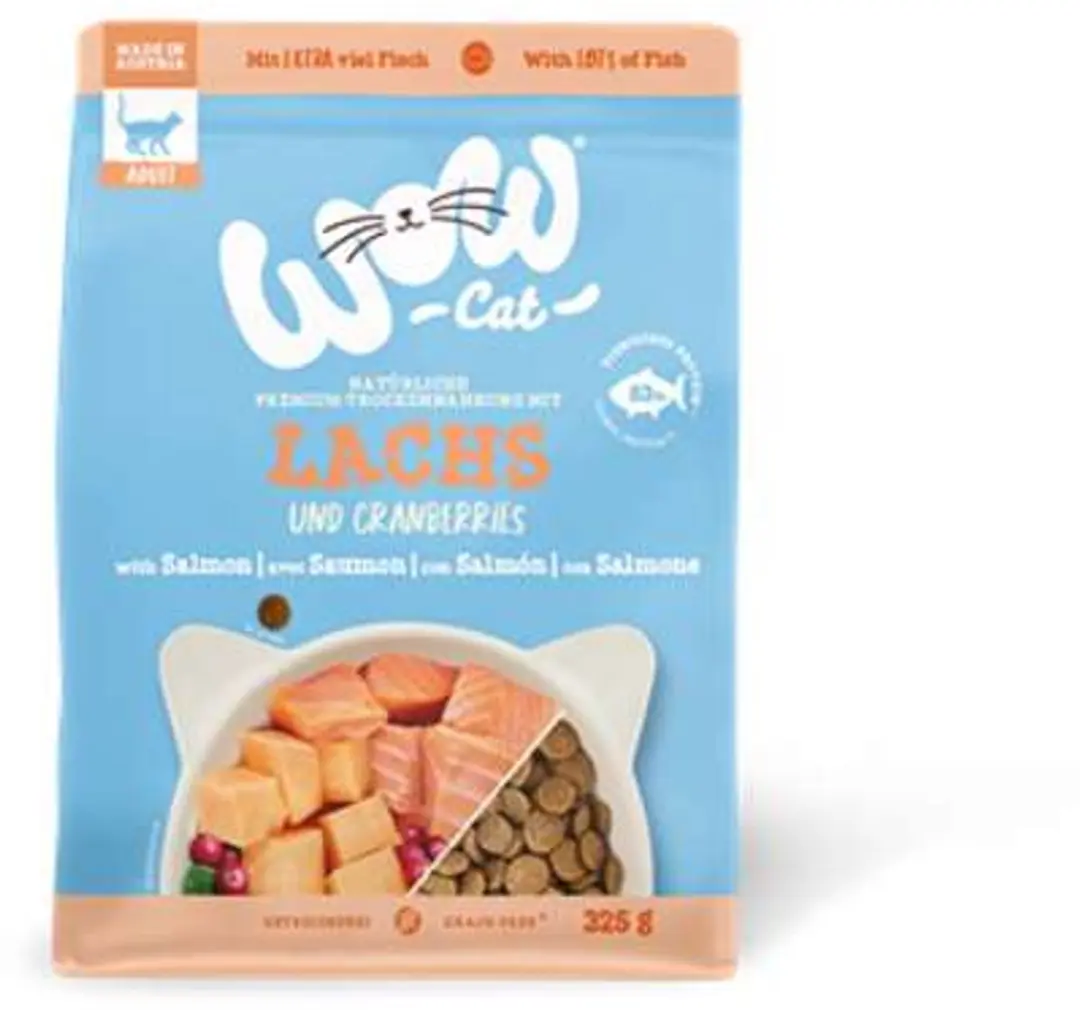 WOW Cat