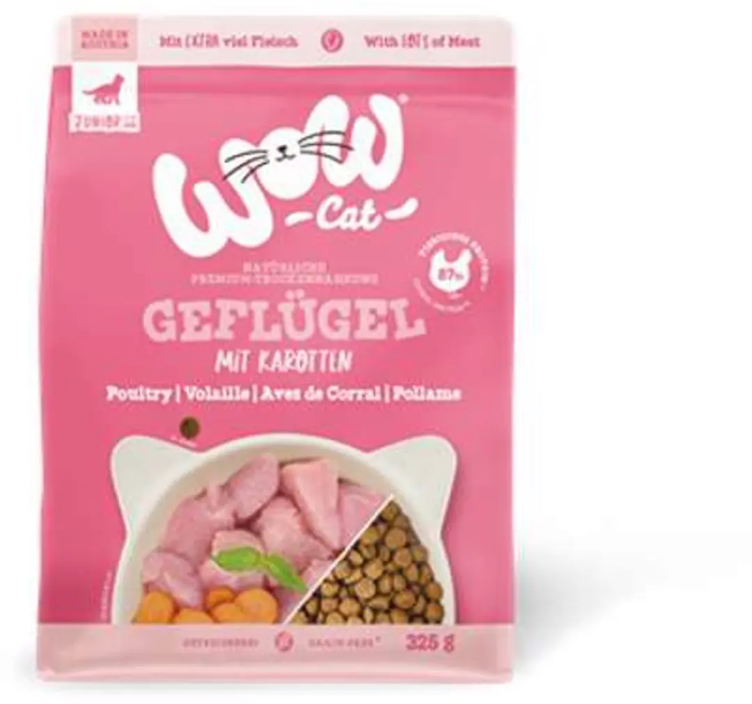 WOW Cat