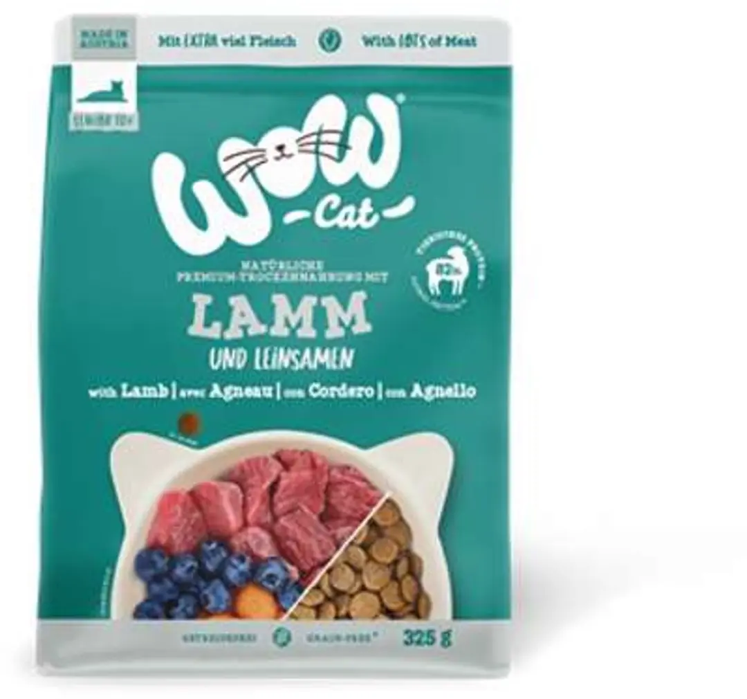 WOW Cat