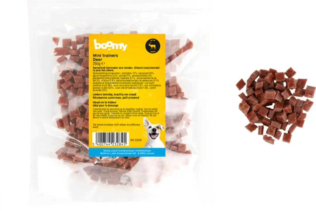 Boomy Mini Trainers