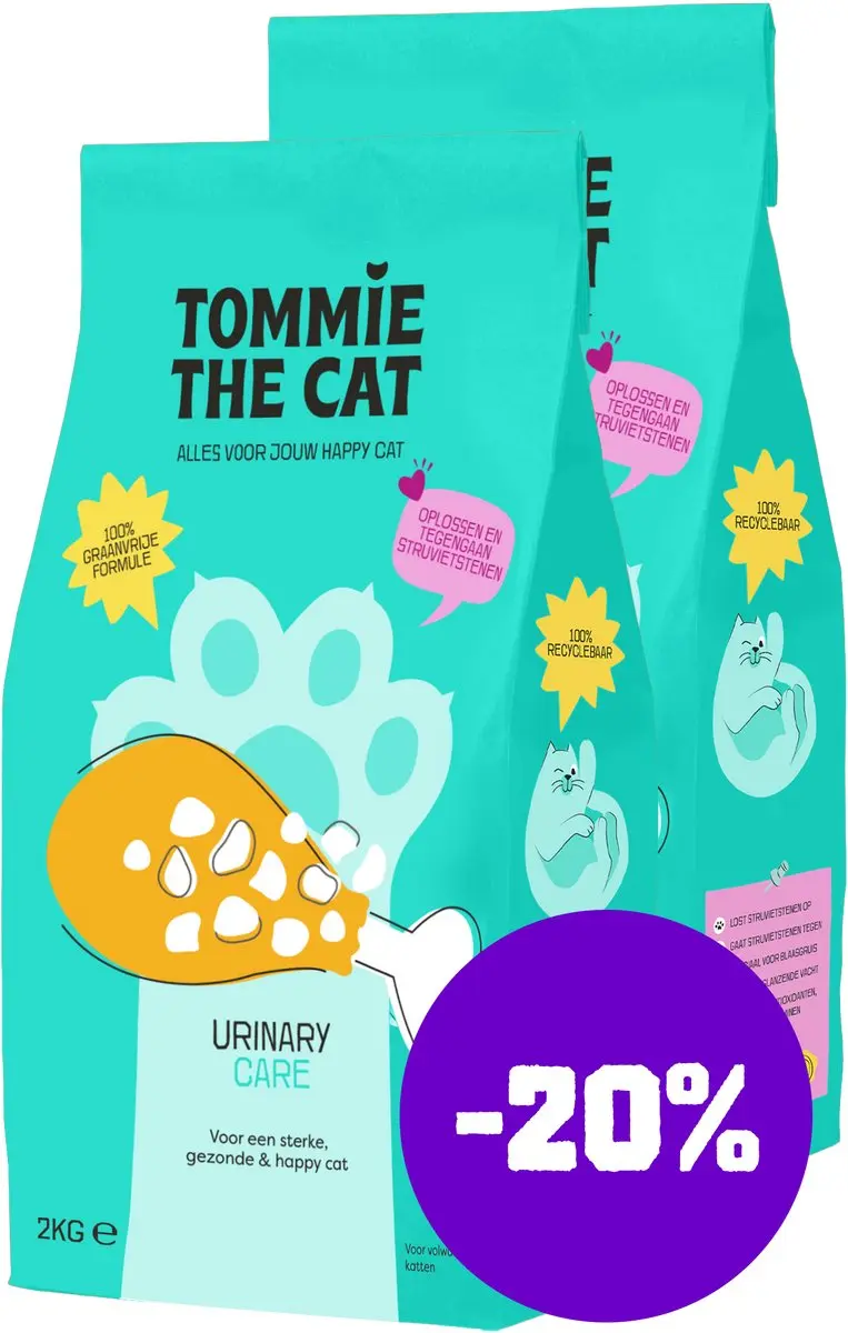 Tommie the Cat