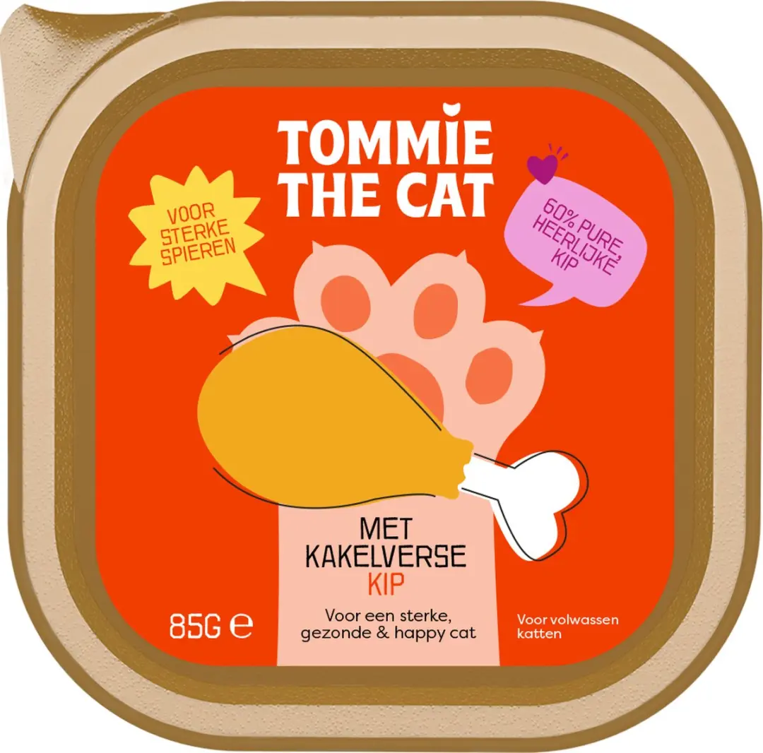 Tommie the Cat