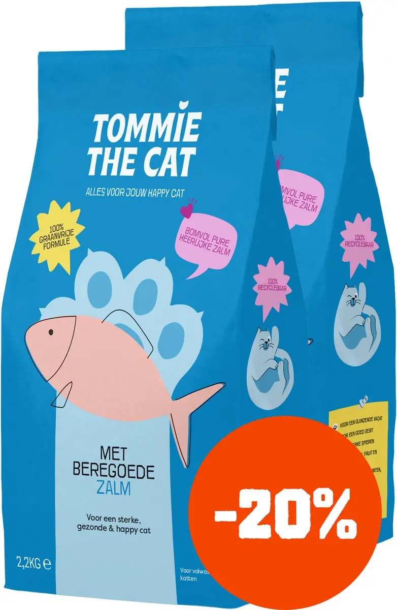 Tommie the Cat