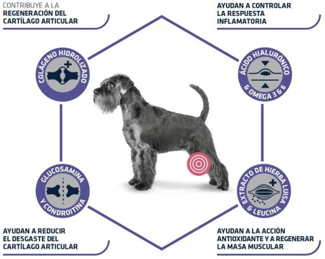 Advance Articular Care Senior Hondenvoer - 2 x 3 kg - afbeelding 4 van 6