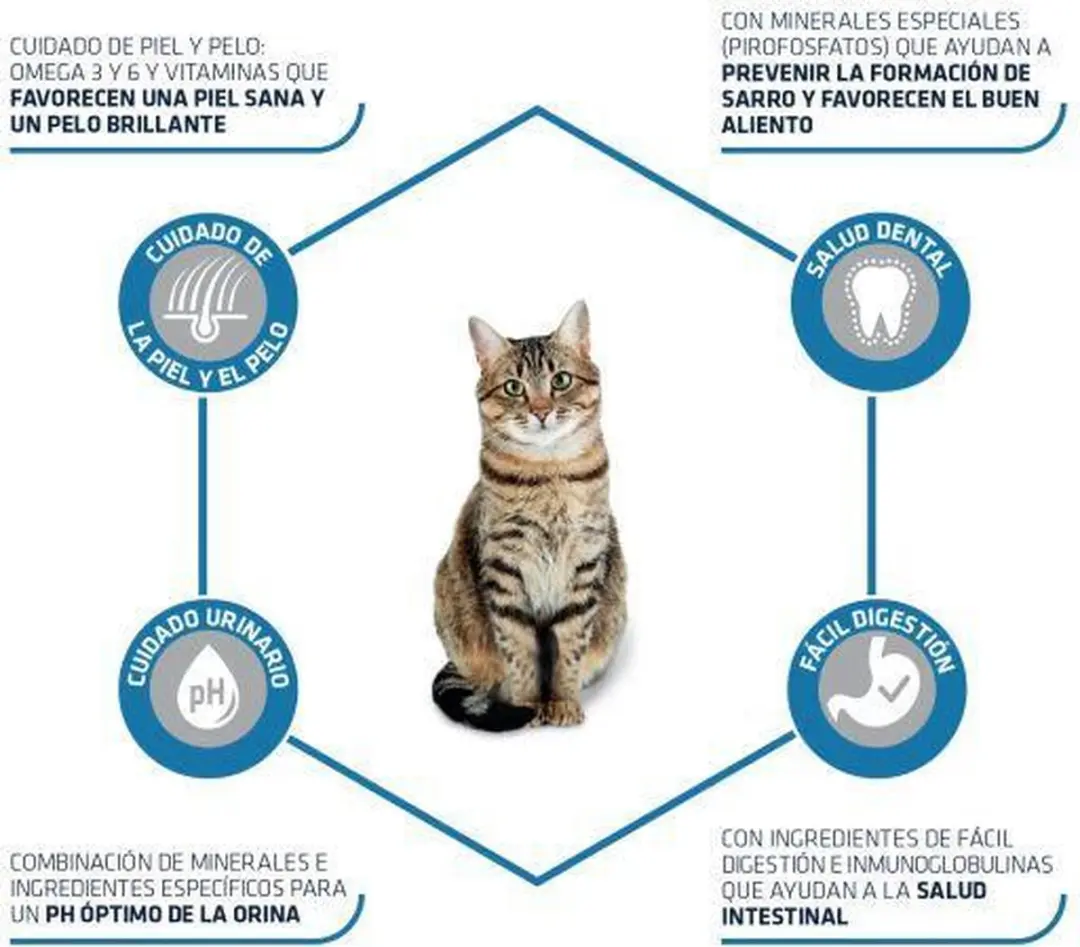 Advance Adult Kattenvoer Kip & Rijst - 10 kg - afbeelding 4 van 6