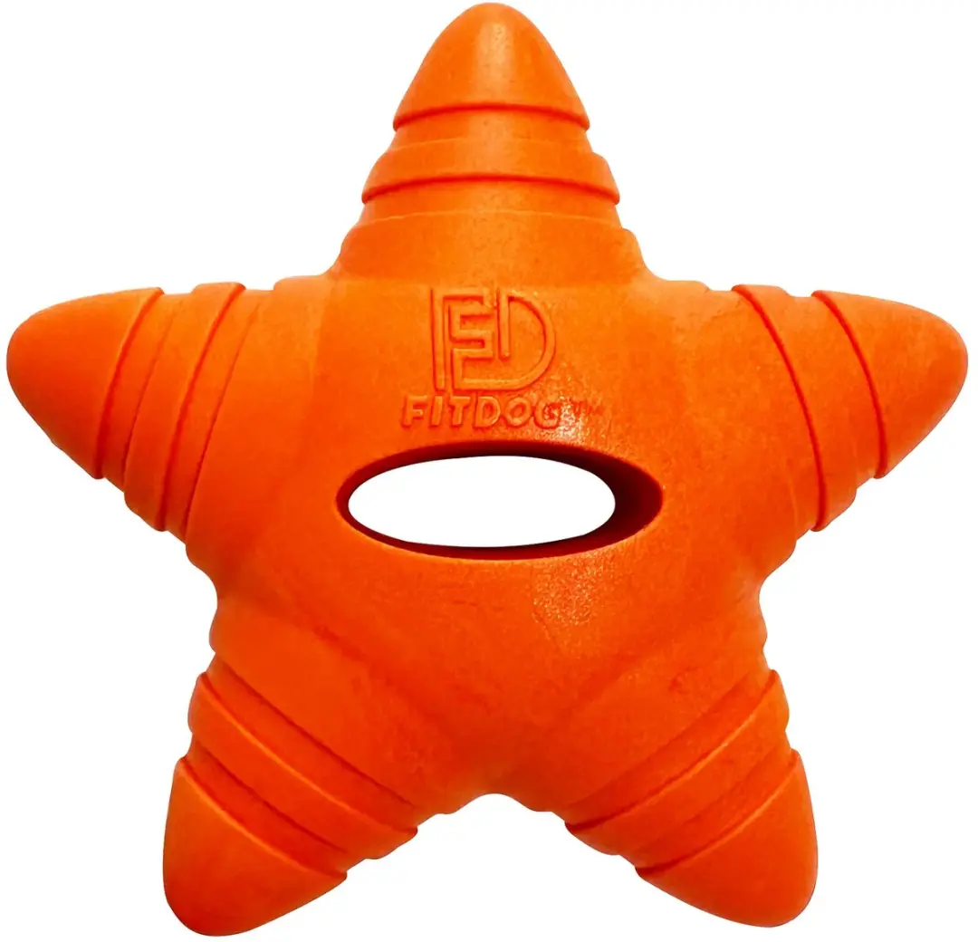 Rosewood FitDog Apporteerset met Drijvende Ster - Oranje/Blauw - afbeelding 2 van 6