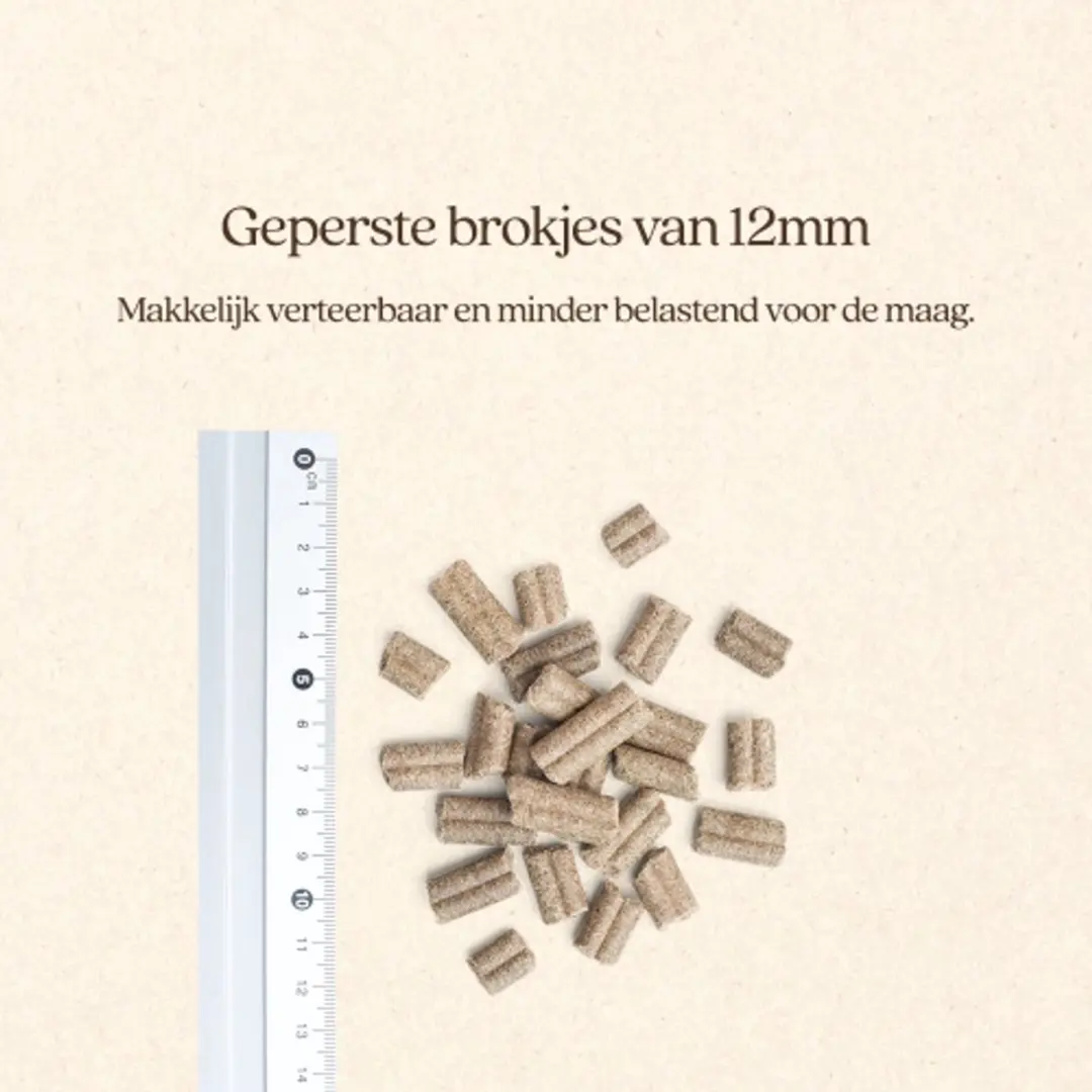 VITALstyle Maag & Darmen Hondenvoer - 12 kg - afbeelding 5 van 6