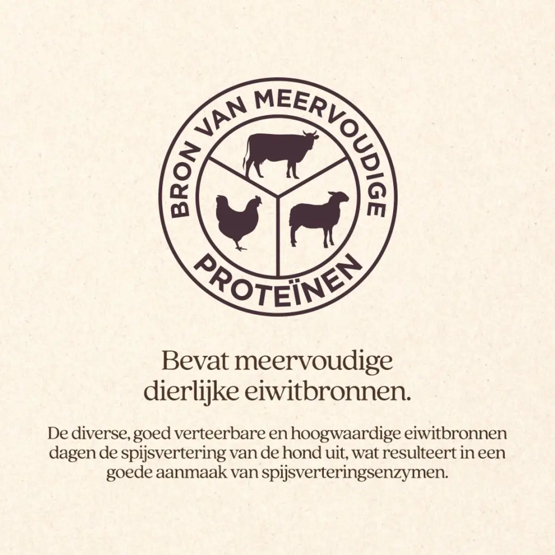VITALstyle Maag & Darmen Hondenvoer - 12 kg - afbeelding 3 van 6