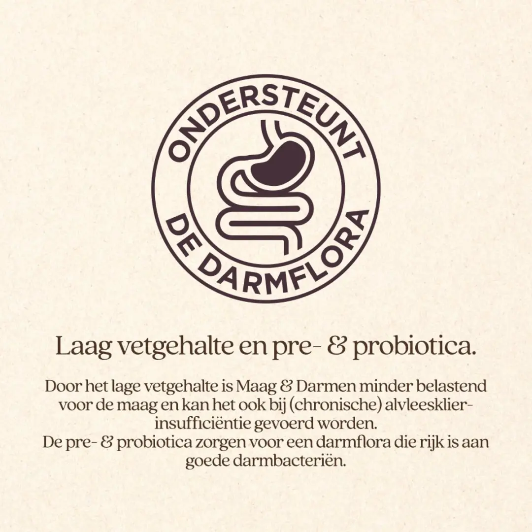 VITALstyle Maag & Darmen Hondenvoer - 12 kg - afbeelding 2 van 6