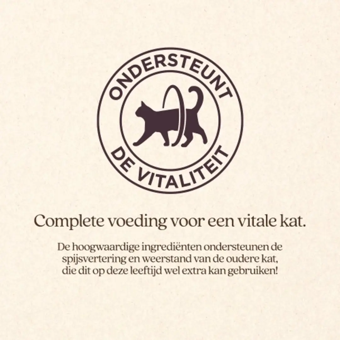 VITALstyle Senior Kattenbrokken - 1,5 kg - afbeelding 3 van 5