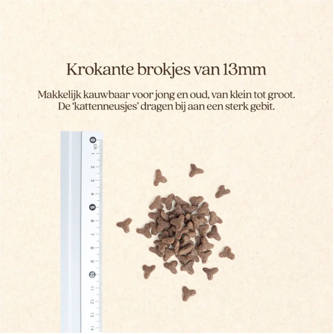 VITALstyle Senior Kattenbrokken - 1,5 kg - afbeelding 2 van 5