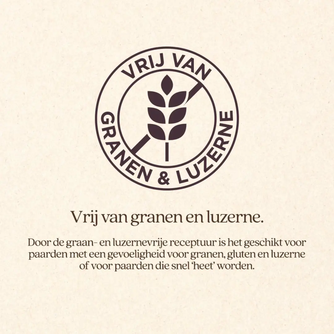 VITALstyle Protein & Fiber Ruwvoermix Paardenvoer - 15kg - afbeelding 4 van 5