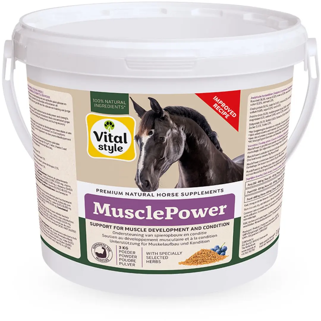 Vitalstyle MusclePower