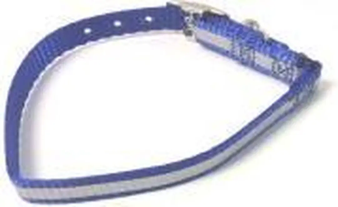 Kattenhalsbandje-reflecterende strip- blauw-Animal King