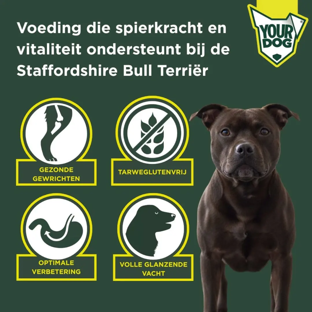 Yourdog Staffordshire Bull Terriër Volwassen Hondenbrokken - 12 kg - afbeelding 3 van 4