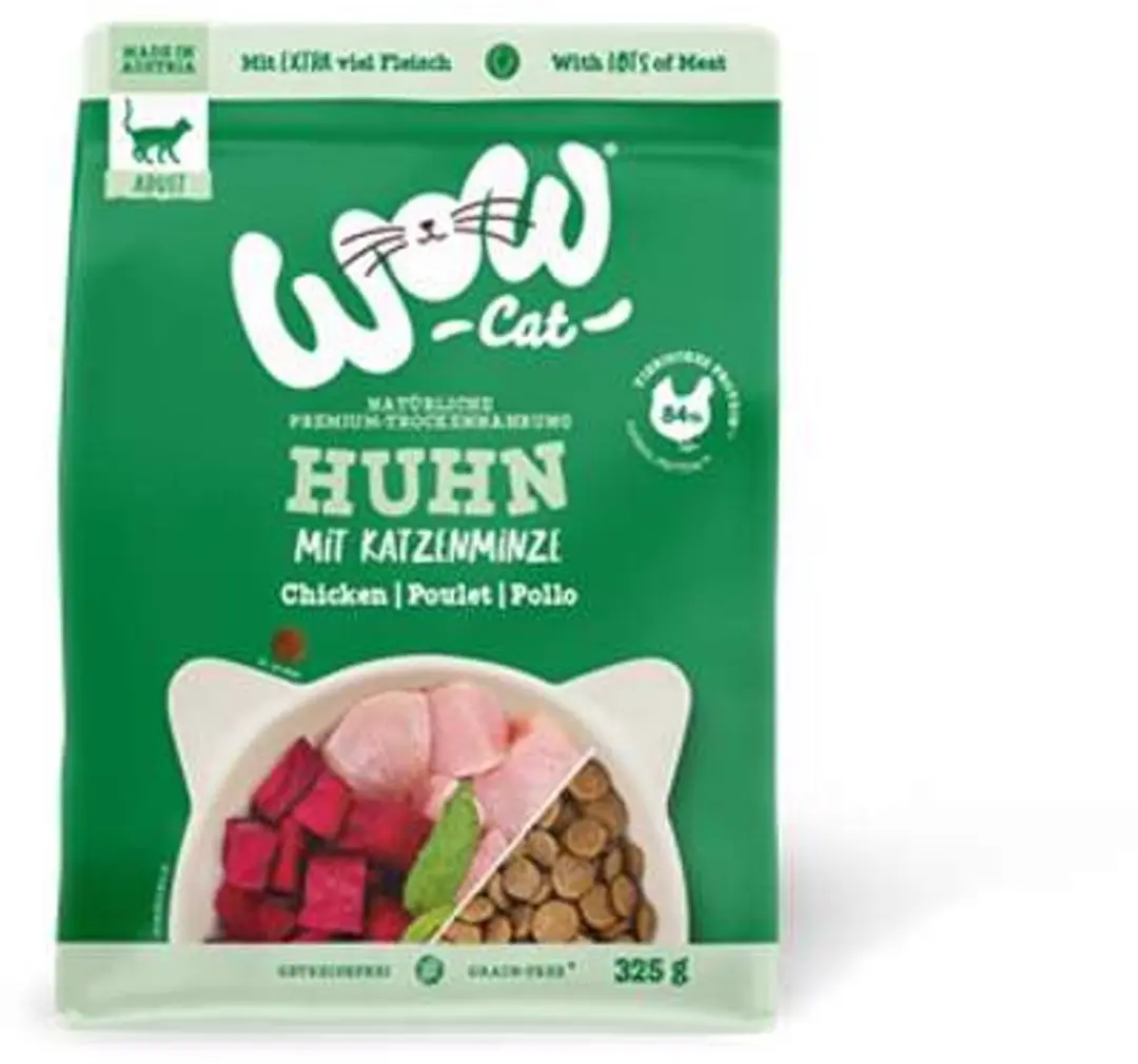 WOW Cat