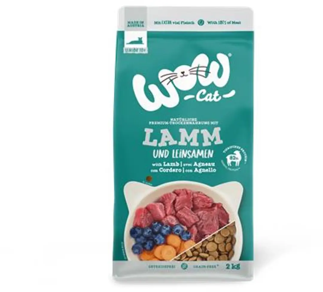 WOW Cat