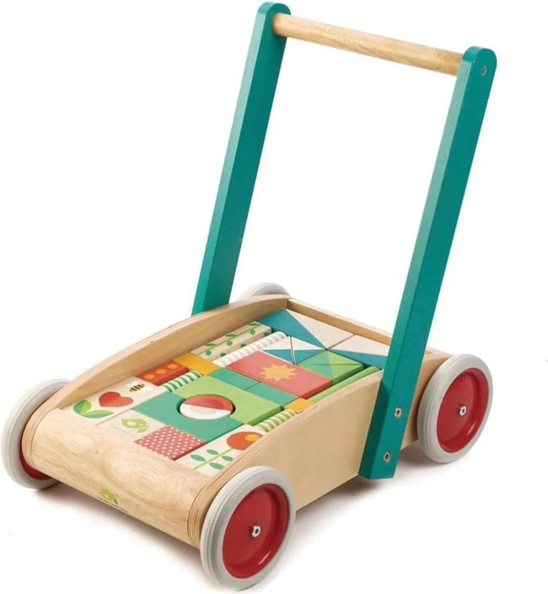 Tender Toys Loopwagen Junior Multicolor
