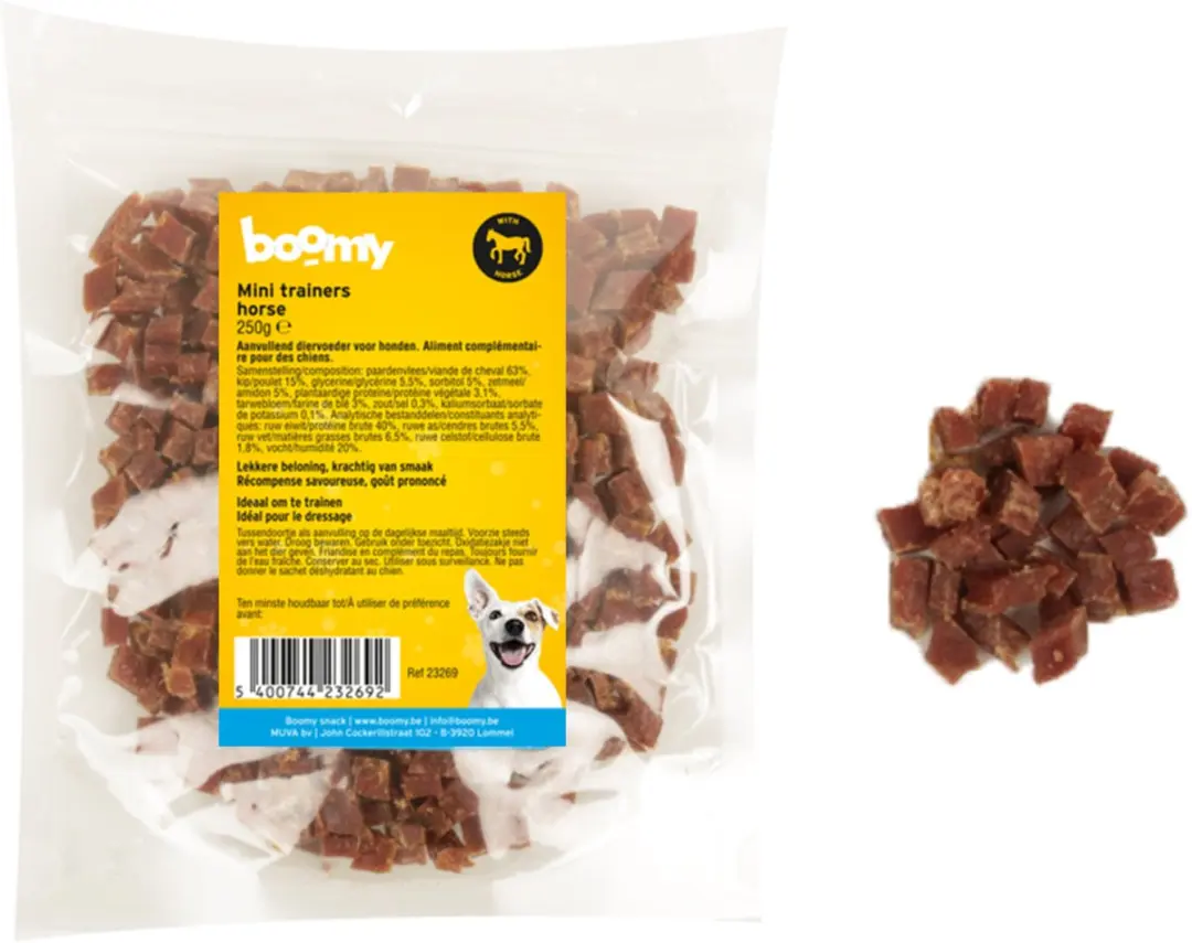 Boomy Mini Trainers