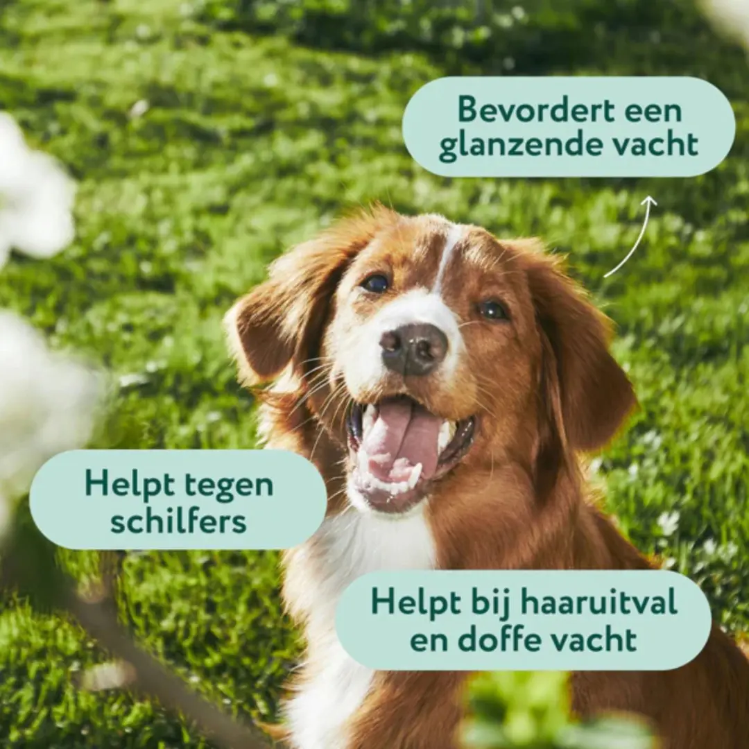 DogSuppy Huid & Vacht Omega 3-6-9 Grote Hond - 90 snoepjes - afbeelding 6 van 6