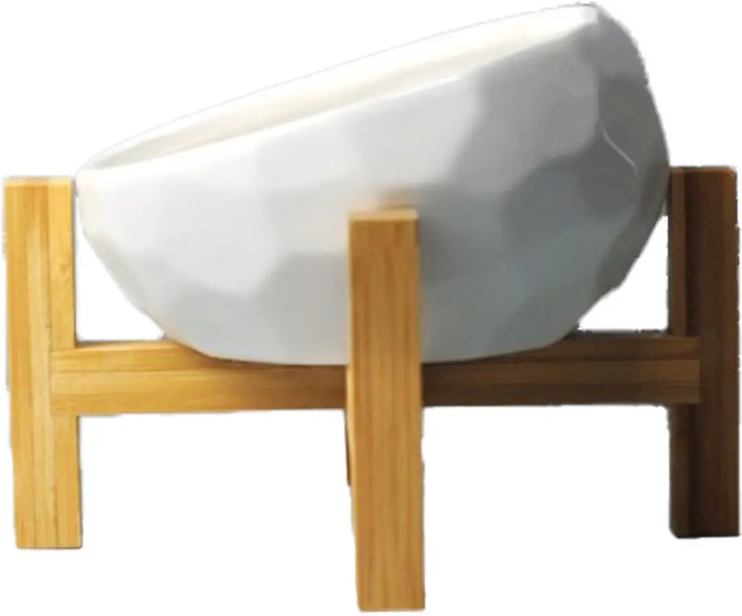 Ergonomische voerbak kat