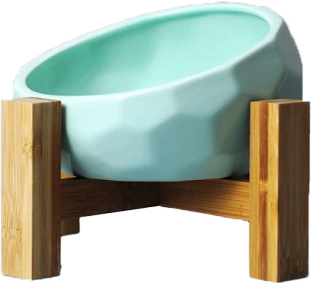 Ergonomische voerbak kat
