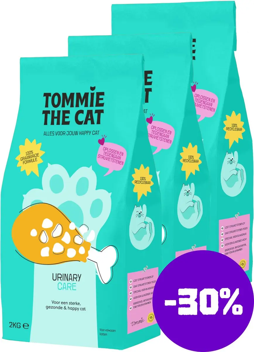 Tommie the Cat