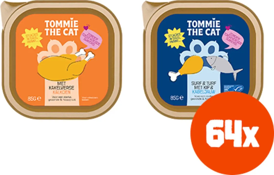 Tommie the Cat