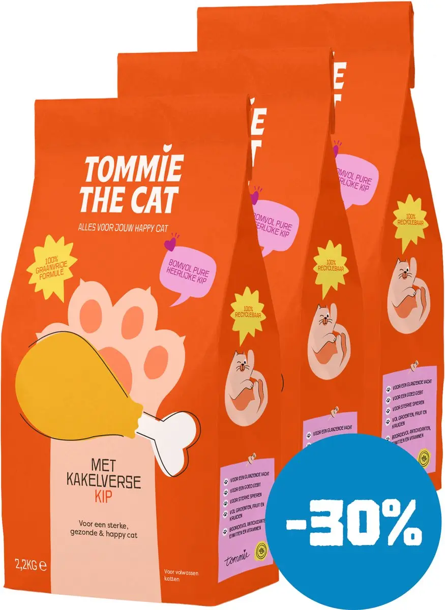 Tommie the Cat
