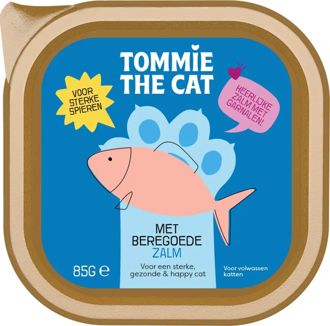 Tommie the Cat