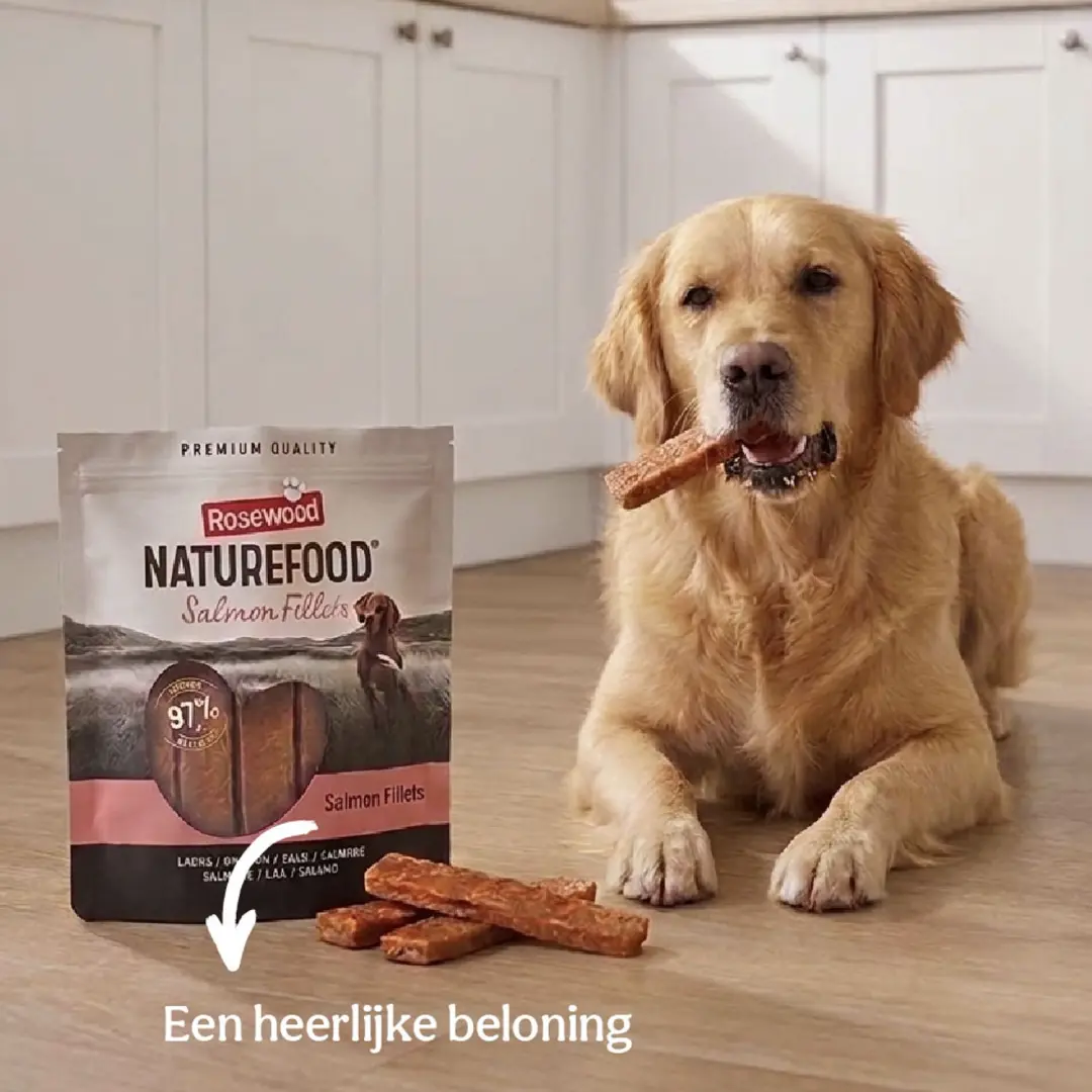 Rosewood Naturefood Filet Zalm Hondensnack 1kg - afbeelding 2 van 6