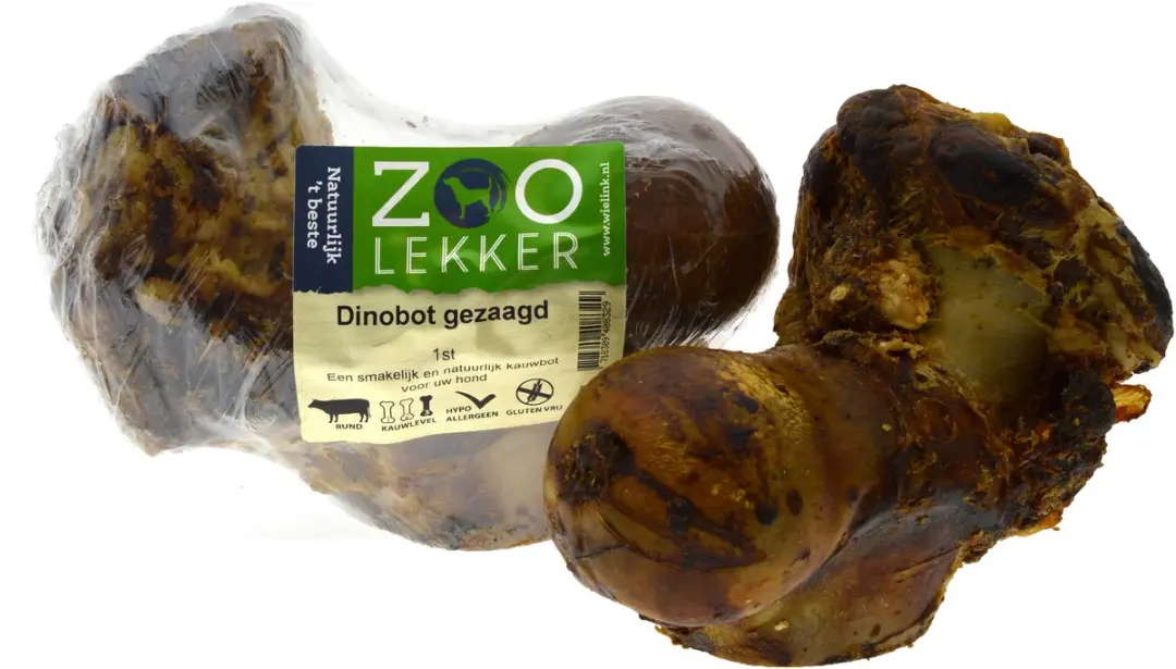 Zoolekker Dinobot