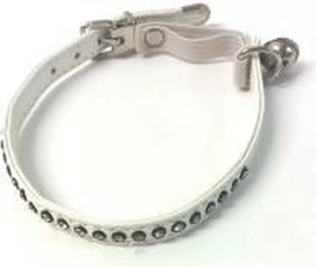 Animalking Kattenhalsband met Belletje