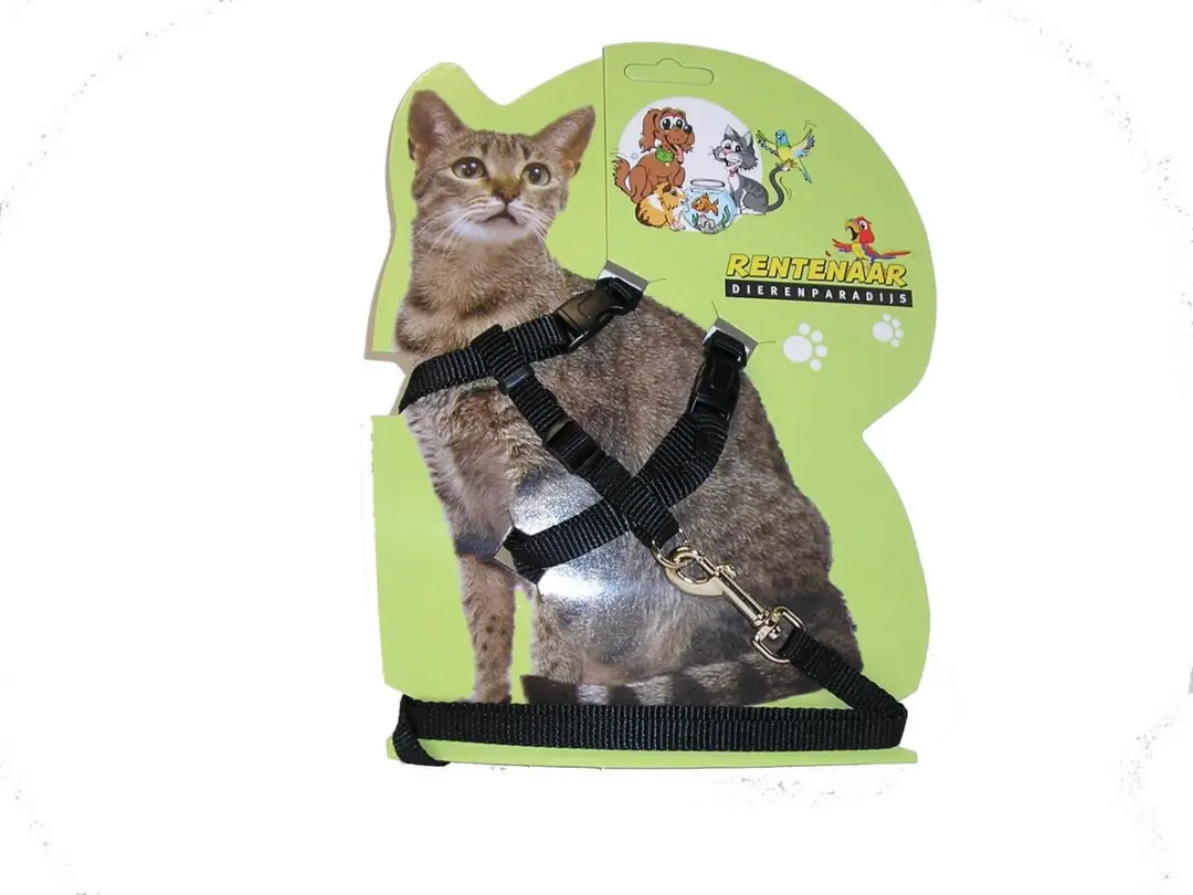 kattentuigje- zwart met lijn-Animal King
