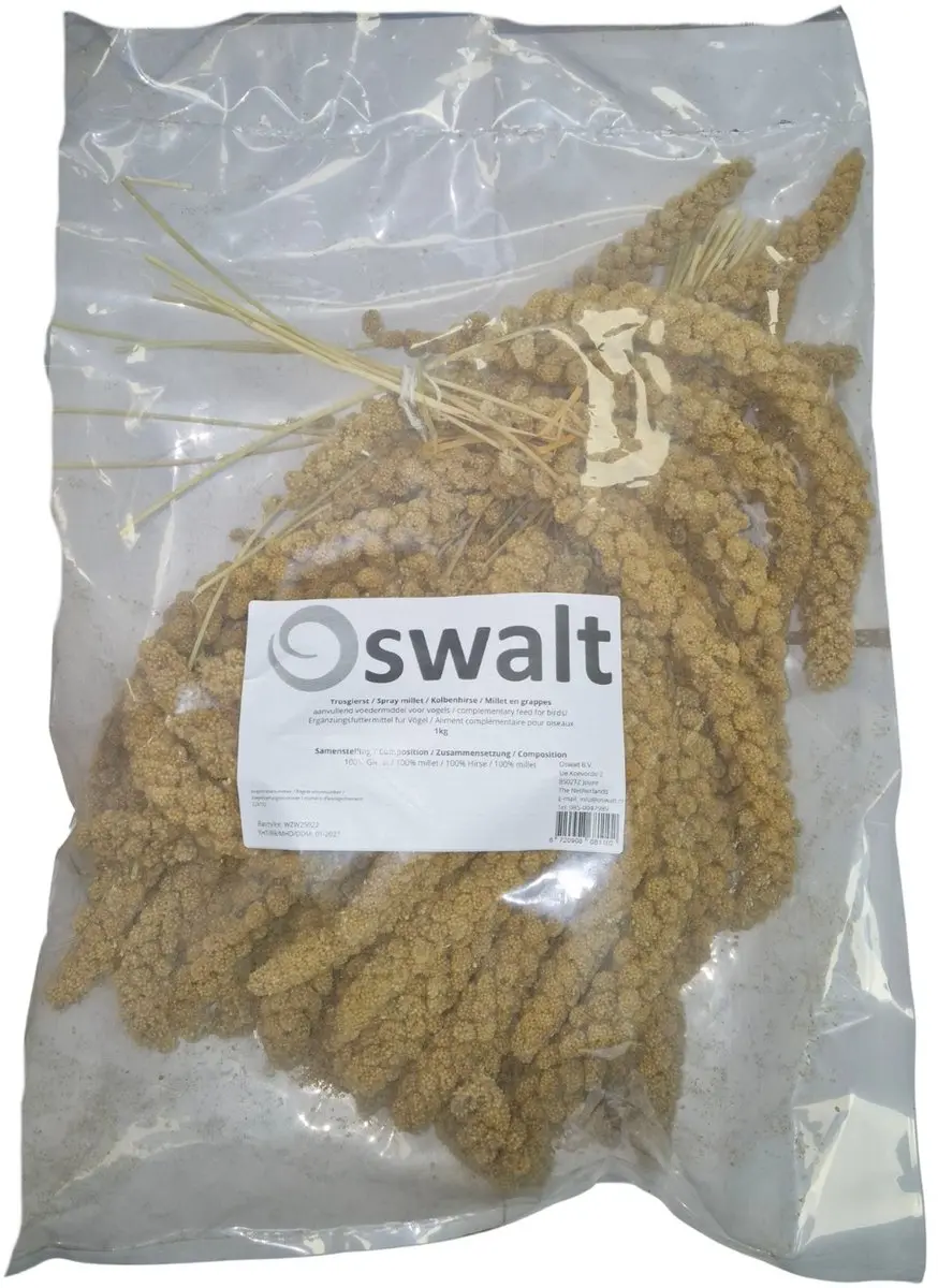 Oswalt Trosgierst
