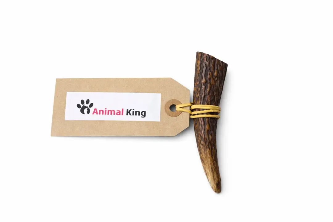 Hertengewei voor Hond 30-50 Gram