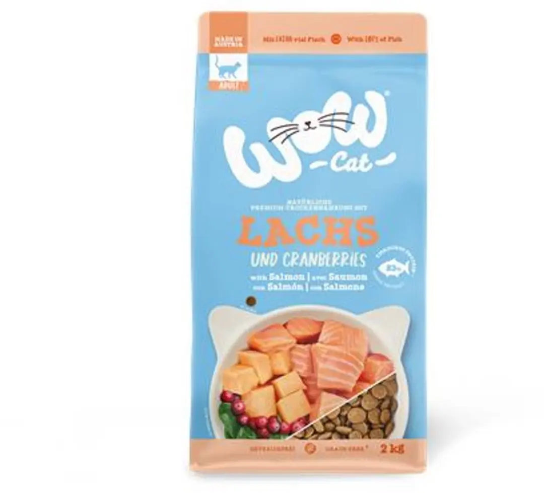 WOW Cat