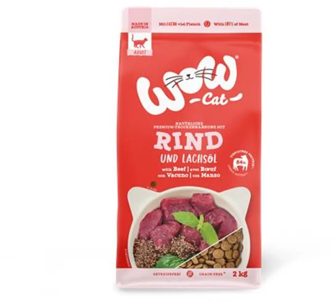 WOW Cat