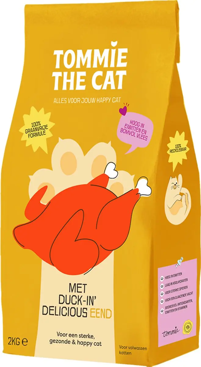 Tommie the Cat