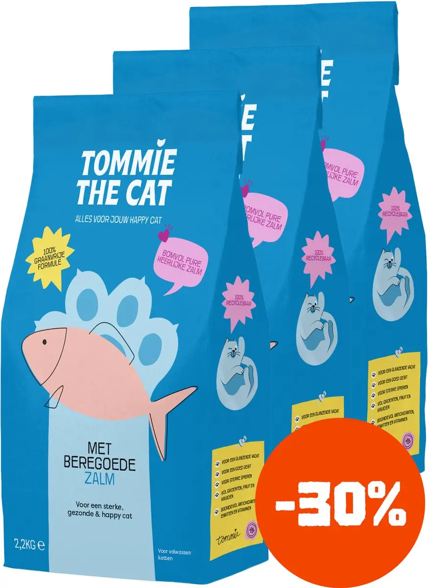 Tommie the Cat
