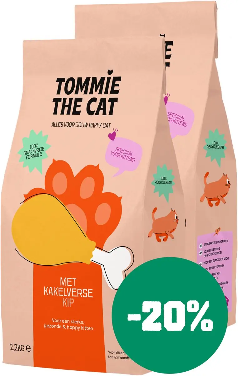 Tommie the Cat