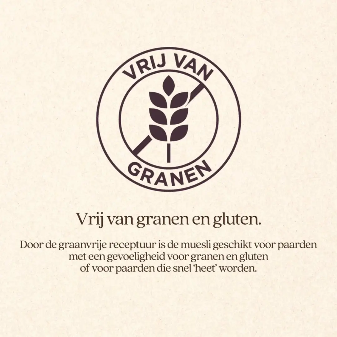 Vitalstyle Paardenmuesli Light & Sober 15 kg - afbeelding 3 van 5
