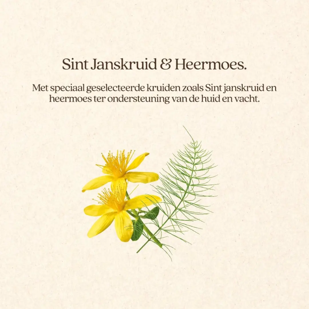 VITALstyle Huid & Vacht Hondenbrokken - 3kg - afbeelding 5 van 6